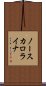 ノースカロライナ Scroll