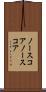 ノースコア Scroll