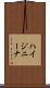 ハイジニーナ Scroll