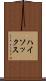 ハイ・ソックス Scroll