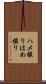 ハメ撮り Scroll