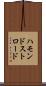 ハモンドストロード Scroll