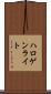 ハロゲン・ライト Scroll