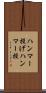 ハンマー投げ Scroll