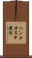 ハンメオステ運河 Scroll