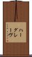ハーグレーヴ Scroll