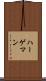 ハーゲマン Scroll