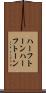ハーフトーン Scroll