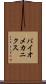 バイオメカニクス Scroll