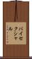 バイセクシャル Scroll