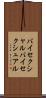 バイセクシャル Scroll