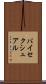 バイセクシュアル Scroll
