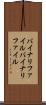 バイナリファイル Scroll