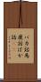 バカ話 Scroll