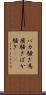 バカ騒ぎ Scroll