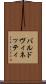 バルドヴィネッティ Scroll
