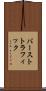 バーストトラフィック Scroll