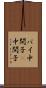 パイ中間子 Scroll