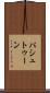 パシュトゥーン Scroll