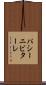 パシーニビターレ Scroll