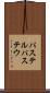 パステル Scroll