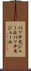 パッチモジュール Scroll
