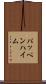 パッペンハイム Scroll