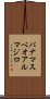 パナマスベオアルマジロ Scroll
