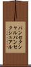 パンセクシャル Scroll