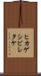 ヒカゲシビレタケ Scroll