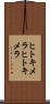ヒトキメラ Scroll