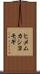 ヒメムカシヨモギ Scroll
