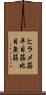 ヒラメ筋 Scroll