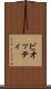 ビオッティ Scroll