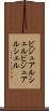 ビジュアルシェル Scroll