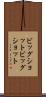 ビッグショット Scroll