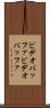 ビデオバッファ Scroll