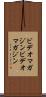 ビデオマガジン Scroll