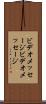 ビデオメッセージ Scroll