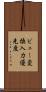 ビュー変換入力優先度 Scroll