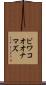 ビワコオオナマズ Scroll