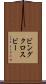 ビングクロスビー Scroll