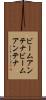 ビームアンテナ Scroll