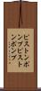 ピストンポンプ Scroll