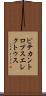 ピテカントロプス・エレクトゥス Scroll