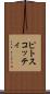 ピトスコッティ Scroll