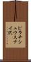ピラチシュウスナイ沢 Scroll