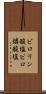 ピロリン酸塩 Scroll
