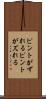 ピントがずれる Scroll