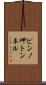 ピンノ岬トンネル Scroll